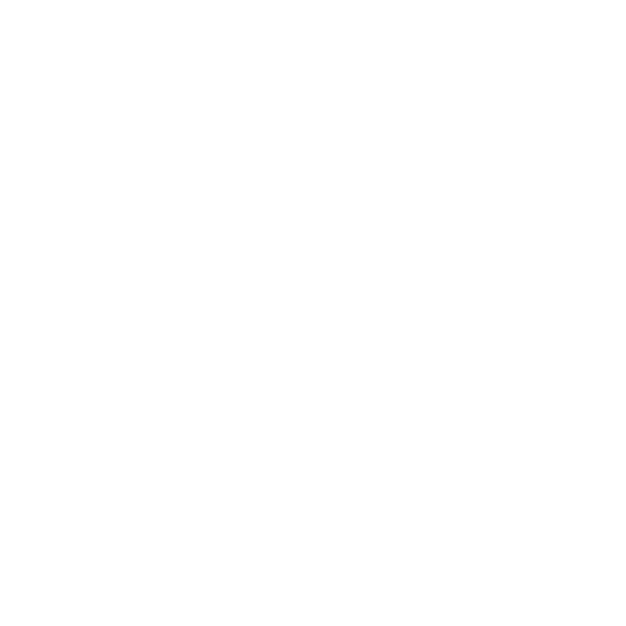 Payment Security
